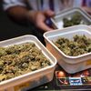 Tourist Marijuana Ban In The Netherlands May Be A Pipe Dream